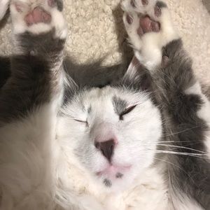 Meet your Posher, Natasha